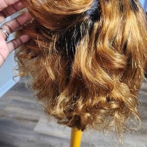 Elegant Ombre Brown Wig